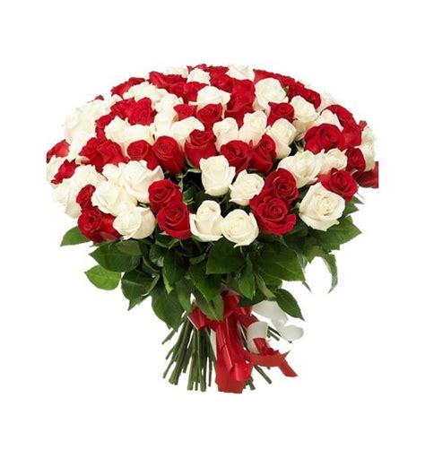 101 Red And White Roses Delivery In Yerevan Is Free