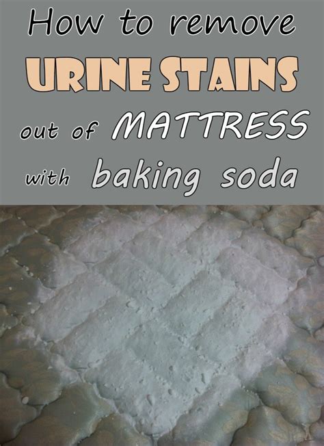 Sprinkle baking soda over the entire mattress using a sieve, but not directly from the container. How to remove urine stains out mattress with baking soda ...