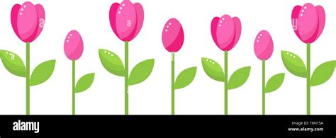 Vector Card Template With Pink Tulip Flowers Stock Vector Image And Art