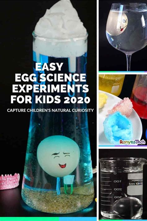 Easy Egg Science Experiments For Kids 2020 In 2021 Science