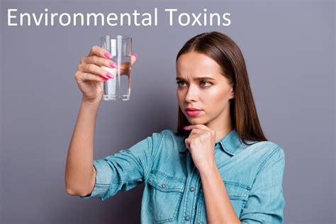 6 Facts About Environmental Toxins Chris Tinney