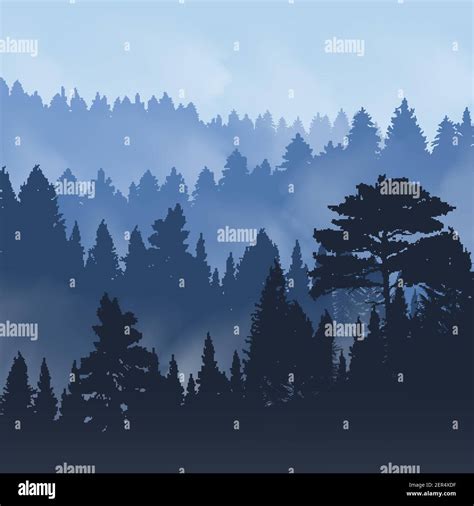 Evening Fog Over Tops Of Trees Of Pine Forest Vector Illustration Stock