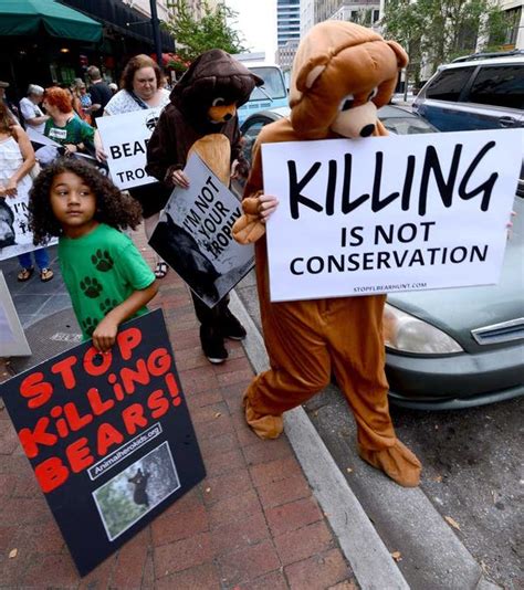 Florida Bear Hunt Halted After Nearly 300 Killed In 2 Days