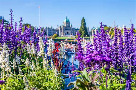44th Annual Greater Victoria Flower Count Tourism Victoria