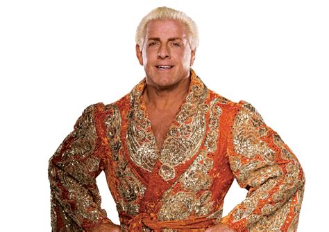 Image - Ric Flair pro.png | OfficialWWE Wiki | Fandom powered by Wikia png image