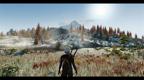 Wild hunt, and yet the game still remains relevant. Skellige Photorealistic 4K at The Witcher 3 Nexus - Mods ...
