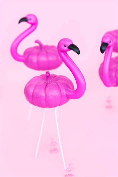Diy Mini Lawn Flamingo Pumpkins