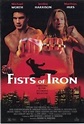 Puños de hierro (1995) Online - Película Completa en Español - FULLTV