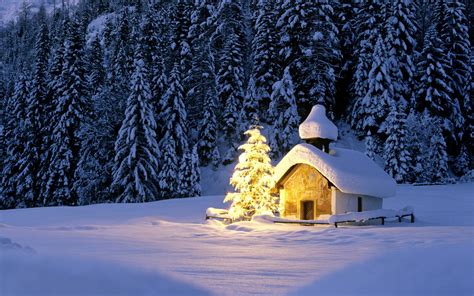 Church And Christmas Tree In Winter Forest Hd Wallpaper