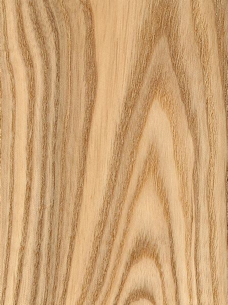 Black Ash The Wood Database Lumber Identification Hardwood