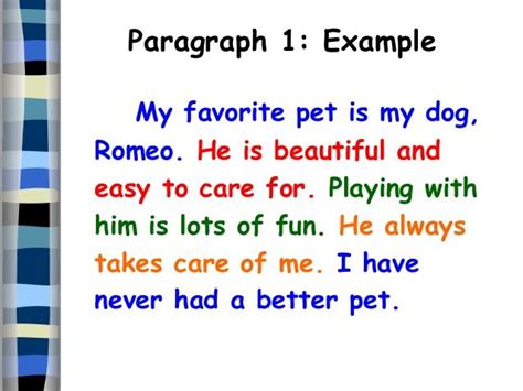 Expository Essay About Dogs - Specialist's opinion ...