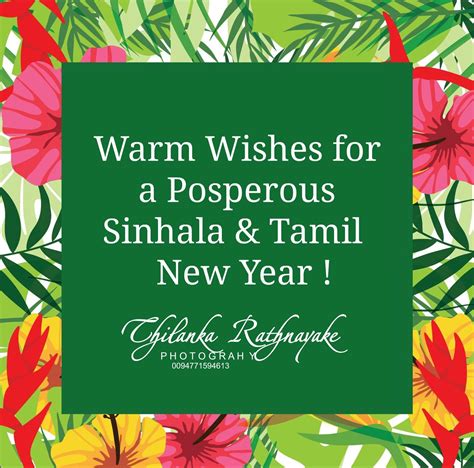 Sinhala And Tamil New Year Wishes 2023 Get New Year 2023 Update