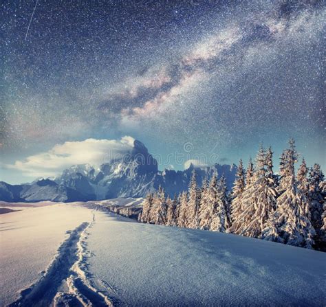 Starry Sky In Winter Snowy Night Fantastic Milky Way Stock Photo