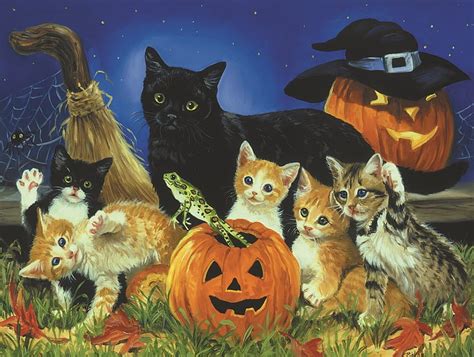 Halloween Kitten Paint Cats Halloween Pumpkin Hd Wallpaper Peakpx