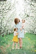family blossoms | Spring family pictures, Family picture outfits ...
