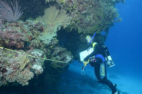 In The Wake Of Matthew Flinders Citizen Scientists Mapping Australian