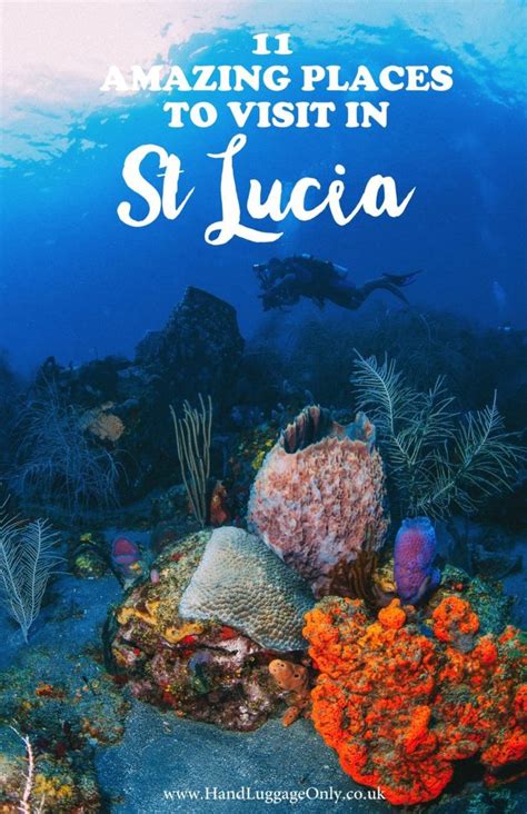 An Underwater Scene With Corals And Seaweed In The Foreground Text Reads Amazing Places To