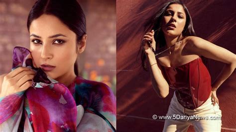 You Wont Be Able To Take Your Eyes Off From Shehnaaz Gill In Recent Dabboo Ratnanis Photoshoot