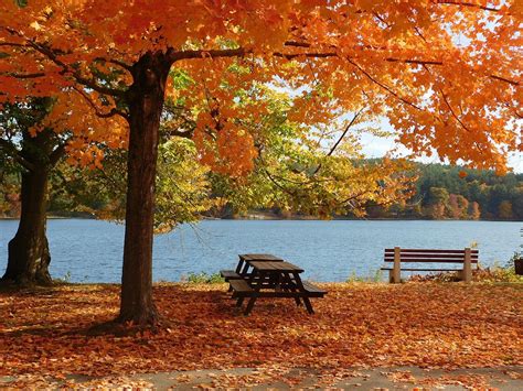 Fall Foliage Update Where To See Peak Color Now Artofit