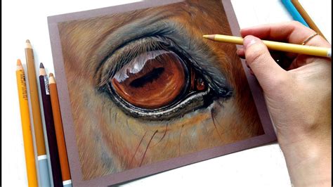 She asked for a recipe, but i'm afraid to say there really isn't one. Let's draw a realistic horse eye | Pastel Pencils ...