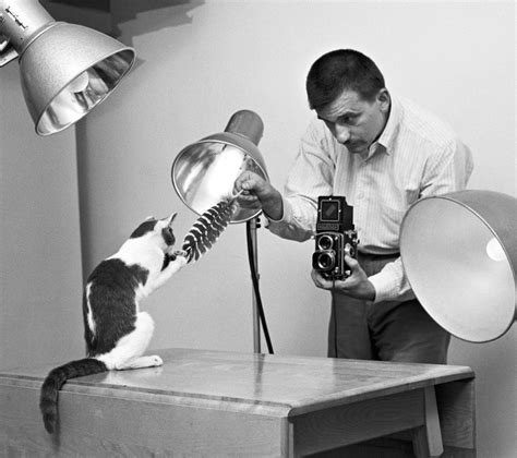 Walter Chandoha El Fotógrafo De Los Gatos 50mm Fotógrafas