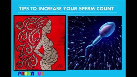 Tips To Increase Sperm Count Youtube