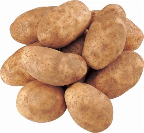 Roundys Fresh Russet Potatoes 10 Lb Fred Meyer