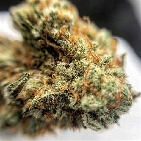 Berner, on the other hand, founded cookies, one of the industry's most . Strain Review: Stardawg by TruFlower - The Highest Critic