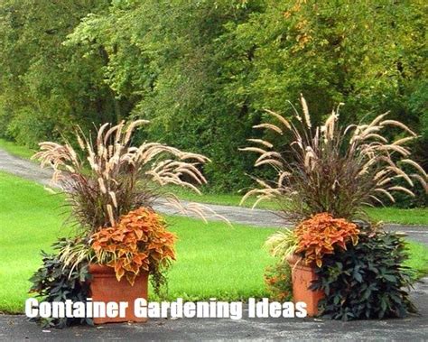 Container Gardening Ideas For Your Home Sonbahar Bahçesi Saksı