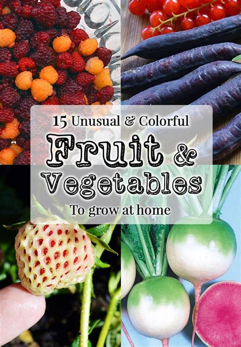 15 Unusual Fruits And Veg For The Home Garden