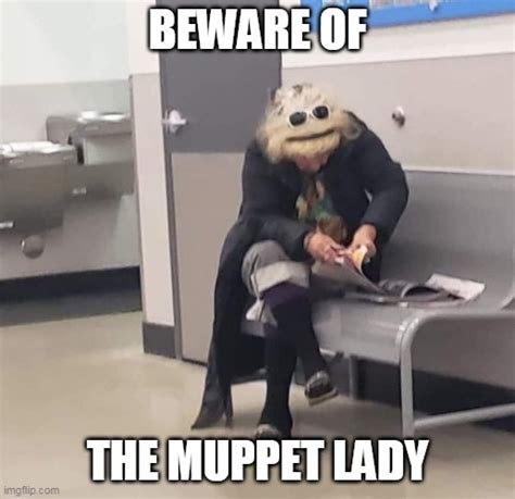 Muppet Memes And S Imgflip