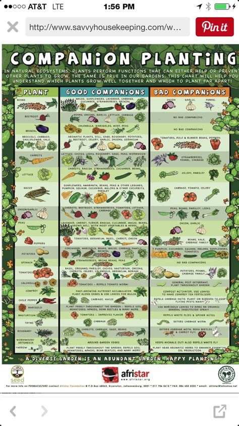 Companion Planting Chart Printable