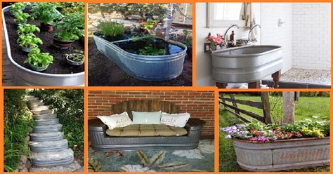 10 Easy And Innovative Ways To Repurpose A Water Trough Genmice