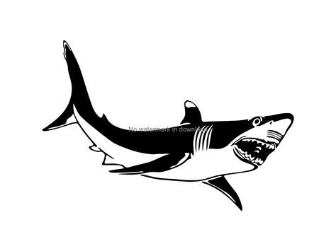 Shark Sticker Silhouette Cameo Distress Svg Shark Dxf Shark Svg Shark
