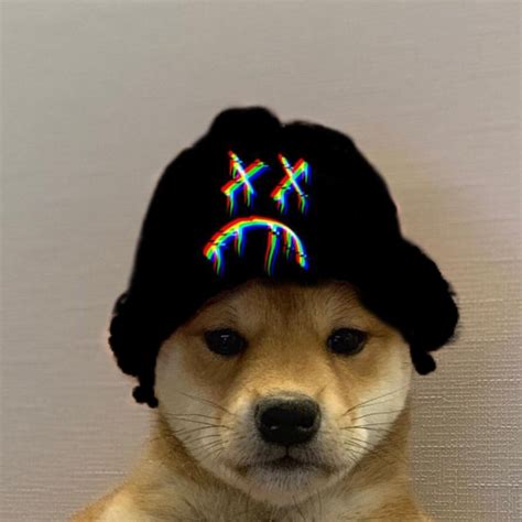 🖤 Dog With Hat Meme Supreme 2021