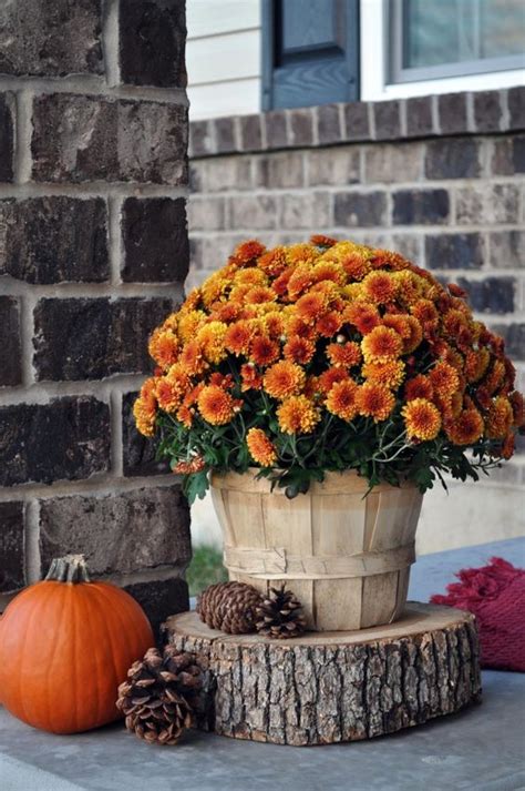 100 Cozy And Rustic Fall Front Porch Decor Ideas To Feel The Yawning