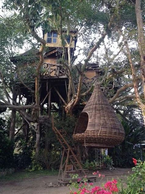 Wow House On Tree Pai Thailand Beautiful Tree Houses Tree