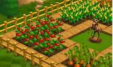 Farmville 2 Free Wood Plank Pictures