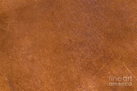 Brown Leather Texture Background Photograph By Angelo Deval Fine Art