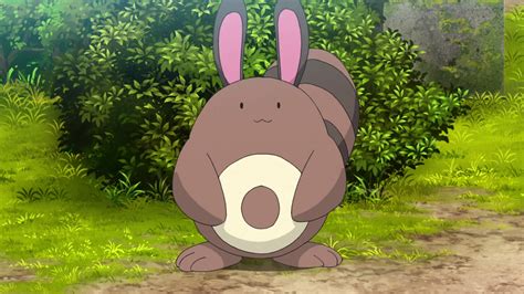 15 Facts About Sentret