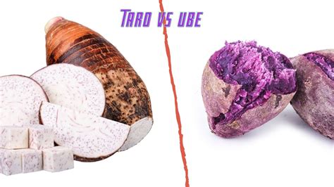 Ube Vs Taro Learn The Difference Between The Root Off
