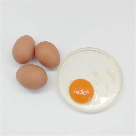 Sumber nutirisi bagi tubuh di dalam satu butir telur ayam negeri setidaknya mengandung berbagai macam jenis nutrisi misalnya vitamin, zat besi, zinc, fosfor, asam lemak omega 3 dan dha. Jual Sajira Farm Telur Ayam Negeri Omega Perkg Isi [16 ...