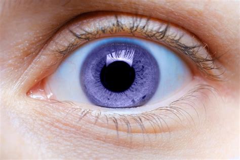 Premium Photo Human Eye In Purple Color Concept Of The Year 2022