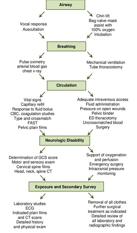 Simplified Assessment And Management Of A Trauma Patient Cbc Complete