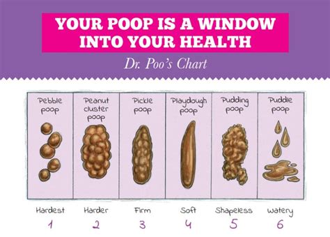 Choose Your Poo Chart