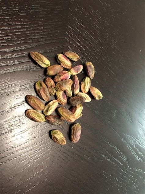 25 Pistachio Seeds From Golden Hill Pistachio Tree Grown In Etsy