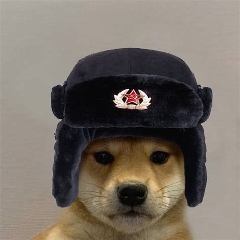 Dog Wif Hat Soviet Dog Icon Dog Pictures Funny Dog Ts
