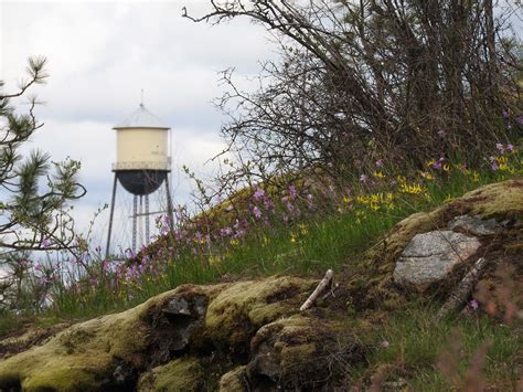 Free Images Water Tower Distance Spring Flowers Hillside Plant