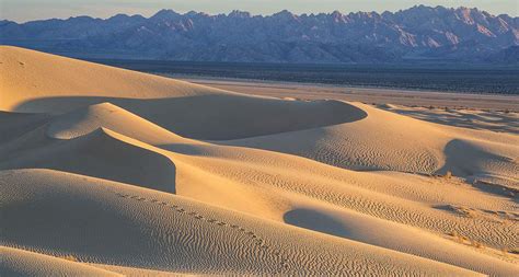 Sand Dunes Repel Each Other As They Move Across A Landscape Physics World