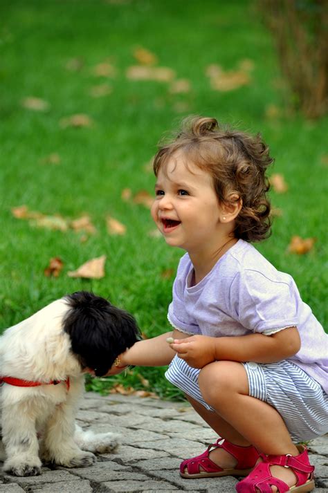 Fotos Gratis Persona Gente Niña Jugar Perrito Linda Sentado